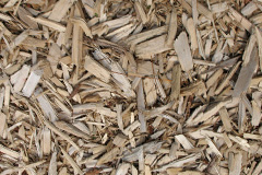biomass boilers Mottisfont